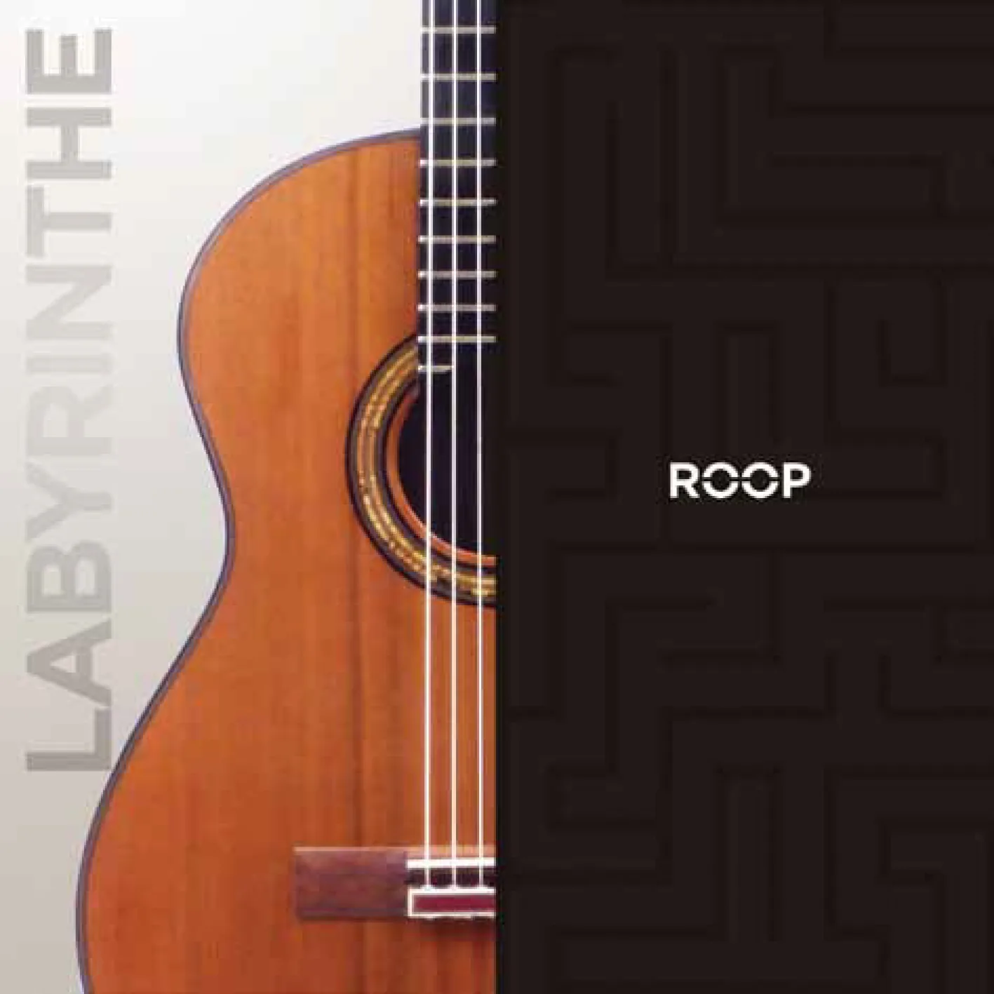 ROOP – Guitare